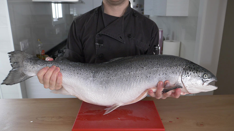 Learn how to Fillet a Salmon and How to Cook it Properly